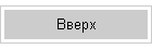 Вверх